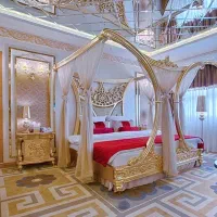 تور ریلی مشهدالرضا