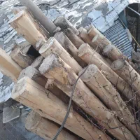 چوب برای تیر سقف