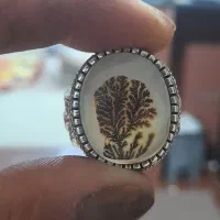 انگشتر شجر ککسیونی|بدلیجات|کرمانشاه, |دیوار