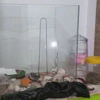 اکواریوم ماهی