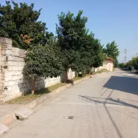 فروش زمین مسکونی|فروش زمین و ملک کلنگی|قائم‌شهر, |دیوار