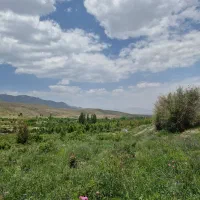 s23fe مشکی|موبایل|کرمان, |دیوار