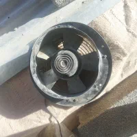 باسلام فن سالم