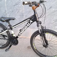 یک عدد دوچرخه سایز 24با 20 سالم|دوچرخه، اسکیت، اسکوتر|اصفهان, میرعماد|دیوار