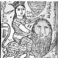 انواع اکسسوری د ع ا