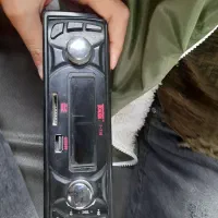 ضبط ماشین|قطعات یدکی و لوازم جانبی|بومهن, |دیوار