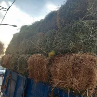 یونجه|لوازم جانبی حیوانات|تبریز, |دیوار