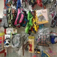 پت شاپ پنبه پیشوا بهترین کیفیت و قیمت|لوازم جانبی حیوانات|پیشوا, |دیوار