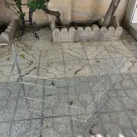 قفس سگ توافقی
