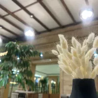 آگهی استخدام نیرو در کافه و رستوران