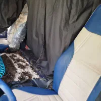 اف 12|خودرو سنگین|باوی, |دیوار