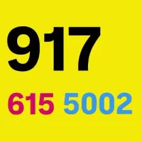 0917-619-8002