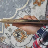 دوازده پرومکس پلمپ