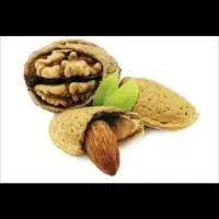 خرید و فروش گردو وبادام
