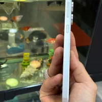 S24fe 256 5G|موبایل|شیراز, زند|دیوار