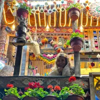 سفرخانه سنتی باران|استخدام خدمات فروشگاه و رستوران|ماسوله, |دیوار