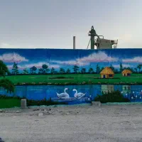 نقاشی و زیبا سازی دیوار قزوینه|خدمات پیشه و مهارت|کنگاور, |دیوار