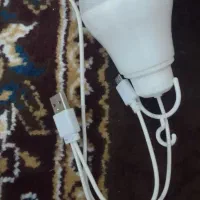 سینه ای درجه یک ماده ۲۰۰ و توقی سرحال دوری ۳۰۰|پرنده|شوشتر, |دیوار