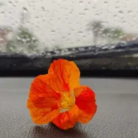 پاکسازی پوست