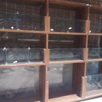 ویترین خشکبار