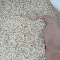 ۸۰ کیلو برنج سرلاشه فجر درشت ۲۶۵ با ضمانت