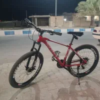دوچرخه حرفه ای ۲۸