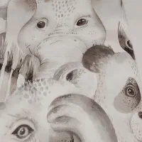 فروش کاغذ دیواری ایرانی خارجی شستشو|مصالح و تجهیزات ساختمان|بندر ماهشهر, |دیوار