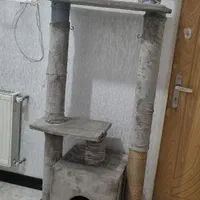 لوازم گربه خانگی
