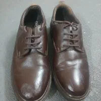 دو جفت کفش|کیف، کفش، کمربند|بروجرد, |دیوار