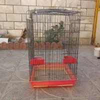 قفس مناسب طوطی