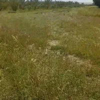 زمین-رامهرمز-مناسب-خونه-باغ