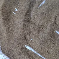 بزر یونجه