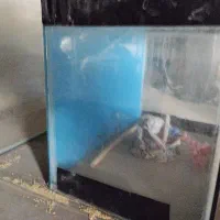 آکواریوم|ماهی|بردسکن, |دیوار