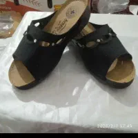 دمپایی زنانه ومردانه ۲۶۵