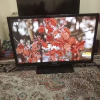 تلویزیون ۴۳ سامسونگ