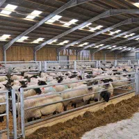 زمین دامداری