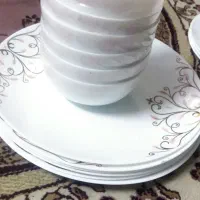 ۹ عدد بشقاب. آرکوپال و۶ عدد کاسه