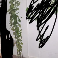 گیاه اپارتمانی|گل و گیاه طبیعی|شهریار, شهرک بهاران (ویره)|دیوار