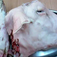 کله پاچه و جگر گوسفندی