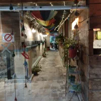 فست فود کار