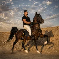 سیلمی اصیل ترک دره شوری