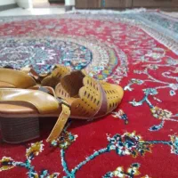 کفش طبی|کیف، کفش، کمربند|شاهین‌شهر, مسکن مهر|دیوار