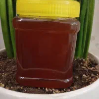 عسل گونه صد درصد طبیعی
