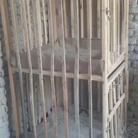 قفس|لوازم جانبی حیوانات|صحنه, |دیوار