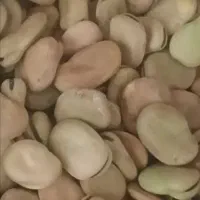 باقالی