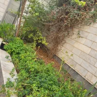 خوابگاه دخترانه|اجارهٔ آپارتمان|مشهد, بهشت|دیوار