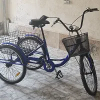 سه چرخه بزرگسال