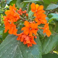 فروش دهکده ساحلی ویو کامل دریا