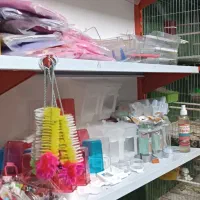 مغازه|پرنده|ماکو, |دیوار