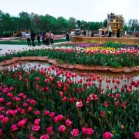 عکاسی در باغ گلها پارک چمران / با لباس محلی رایگان|خدمات پذیرایی، مراسم|کرج, چمران|دیوار